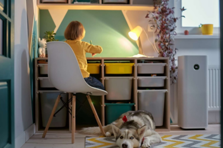 Are Air Purifiers Pet-Friendly