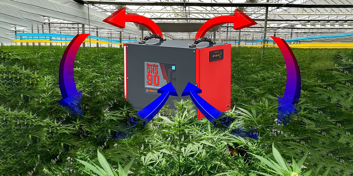 Best Dehumidifier For Grow Tent