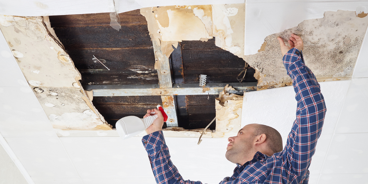 How to Remove Mold from Sheetrock Walls