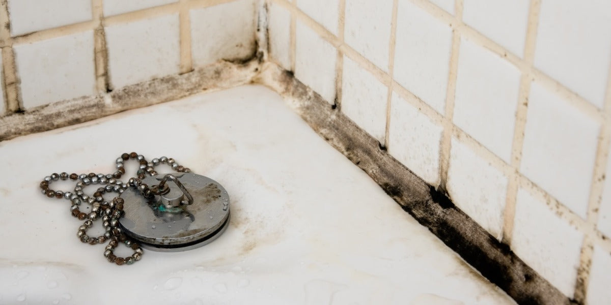 How to Remove Mold from Shower